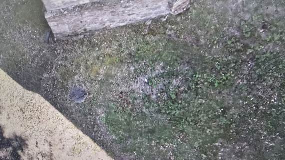 Medieval Underground Cellar from the 12th Century Discovered with OKM Rover C4